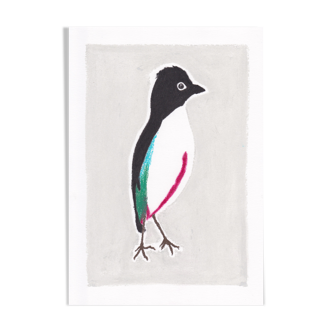 Bird "Pitta maxima" - Original drawing