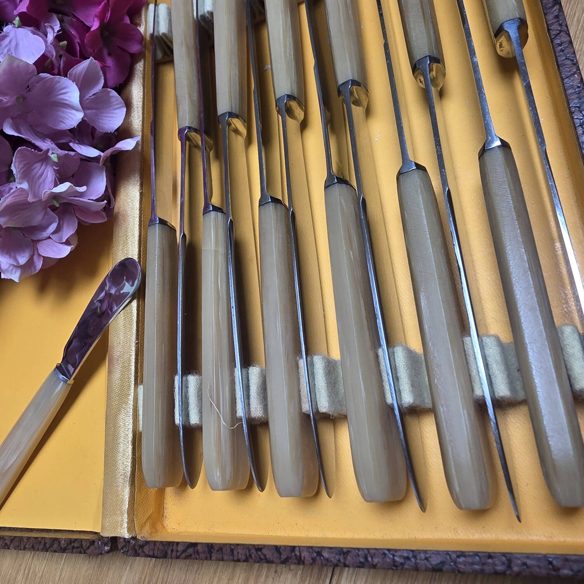 12 vintage knives in a box + 1 butter knife