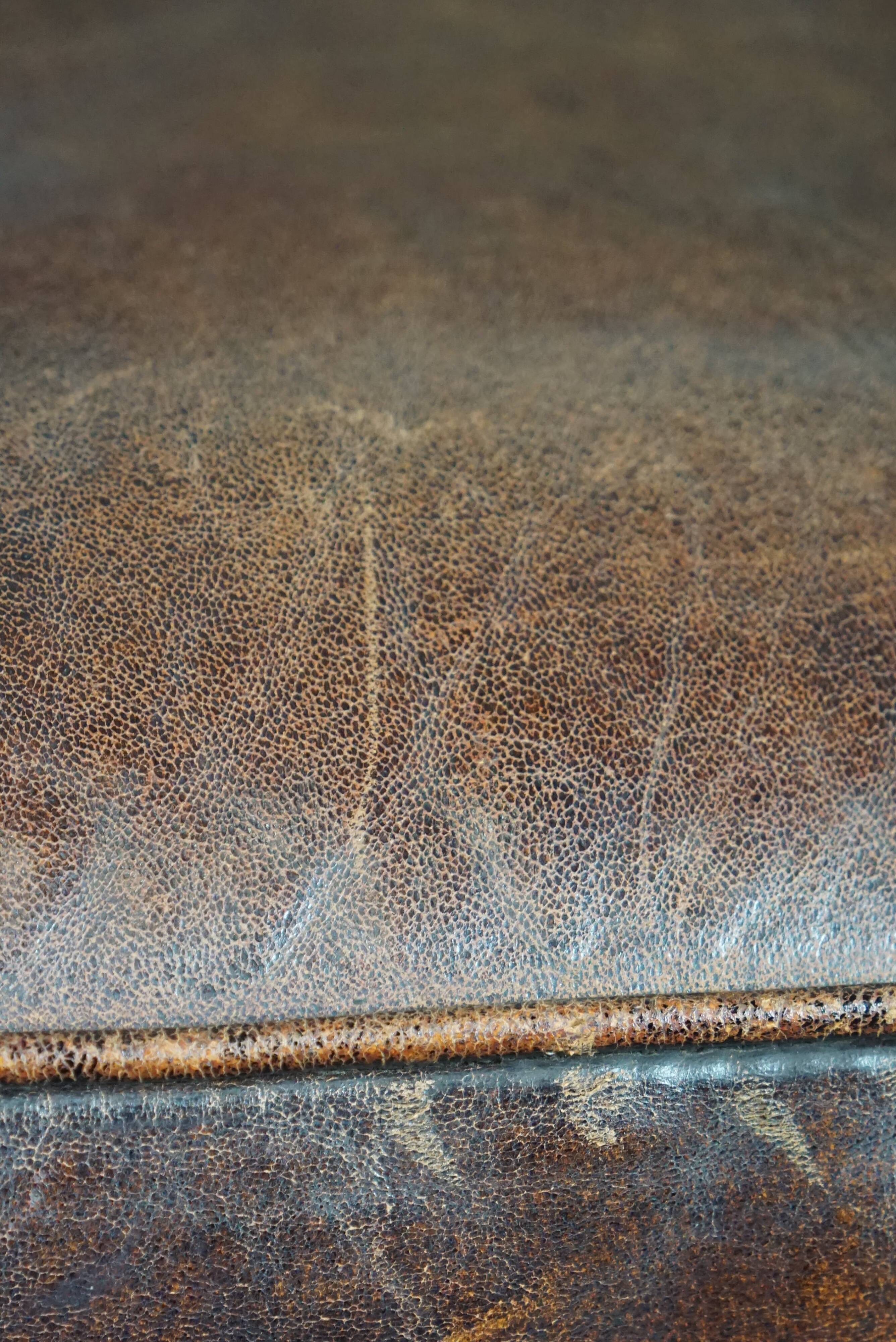 Dark sheep leather club armchair, sleek design