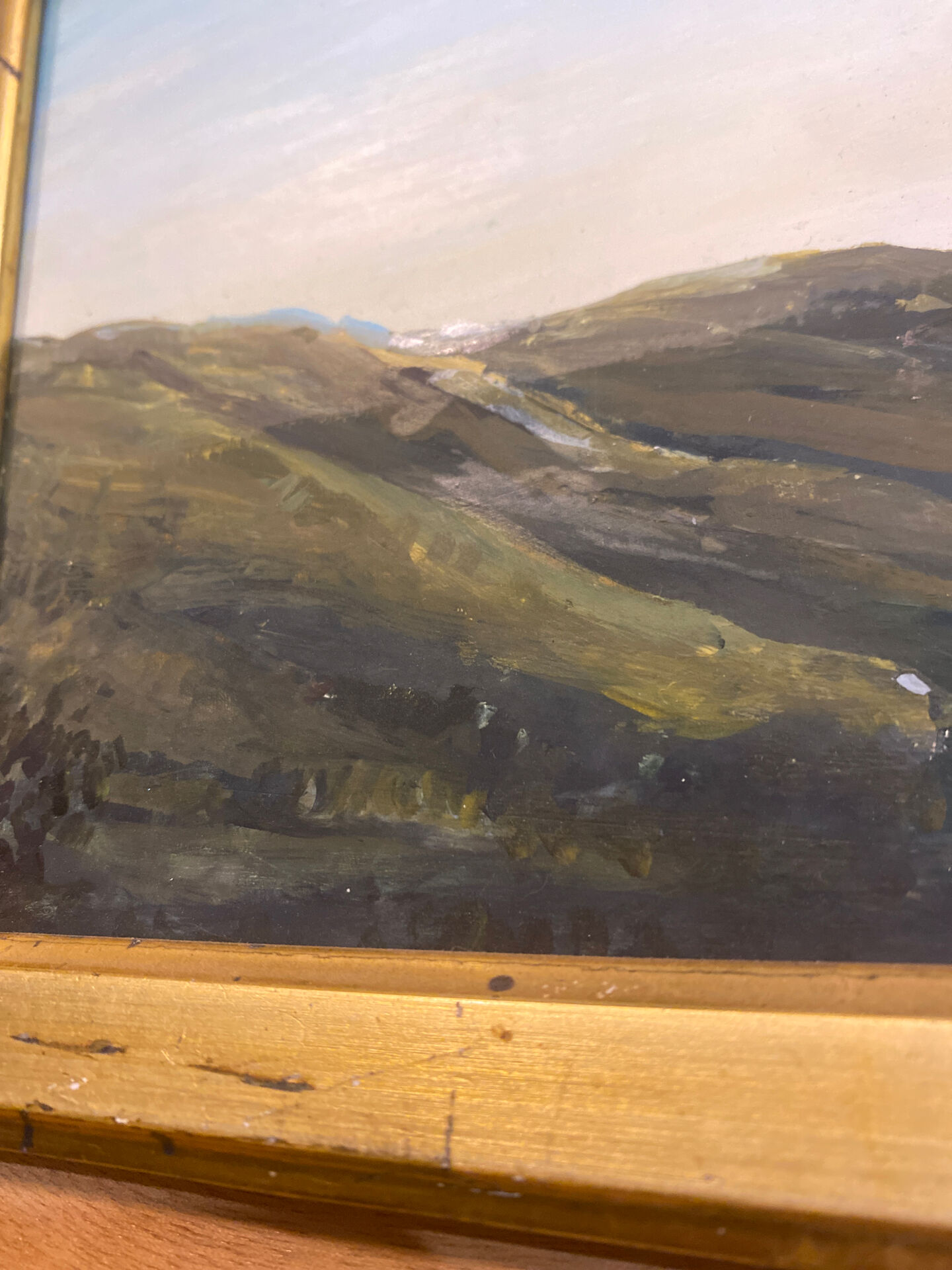 Framed nature painting / French artist