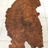 Brutalist coffee table in elm magnifying glass