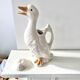 Pitcher duck slurry St Clément