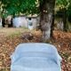 Banquette vintage velours L122