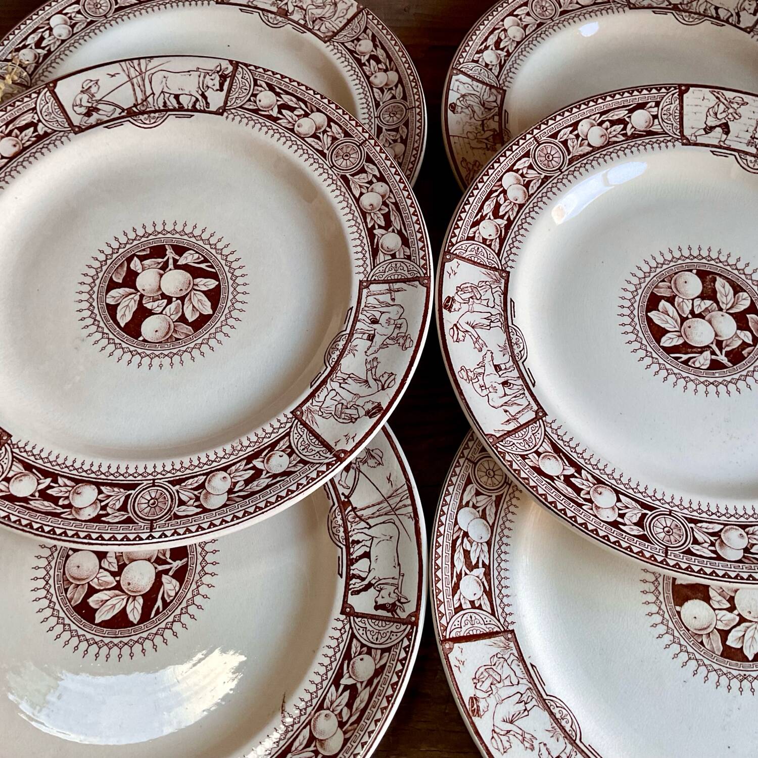 6 BROWNFIELD & SONS “Chelsea” England plates