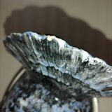 Terrine earthenware peacock