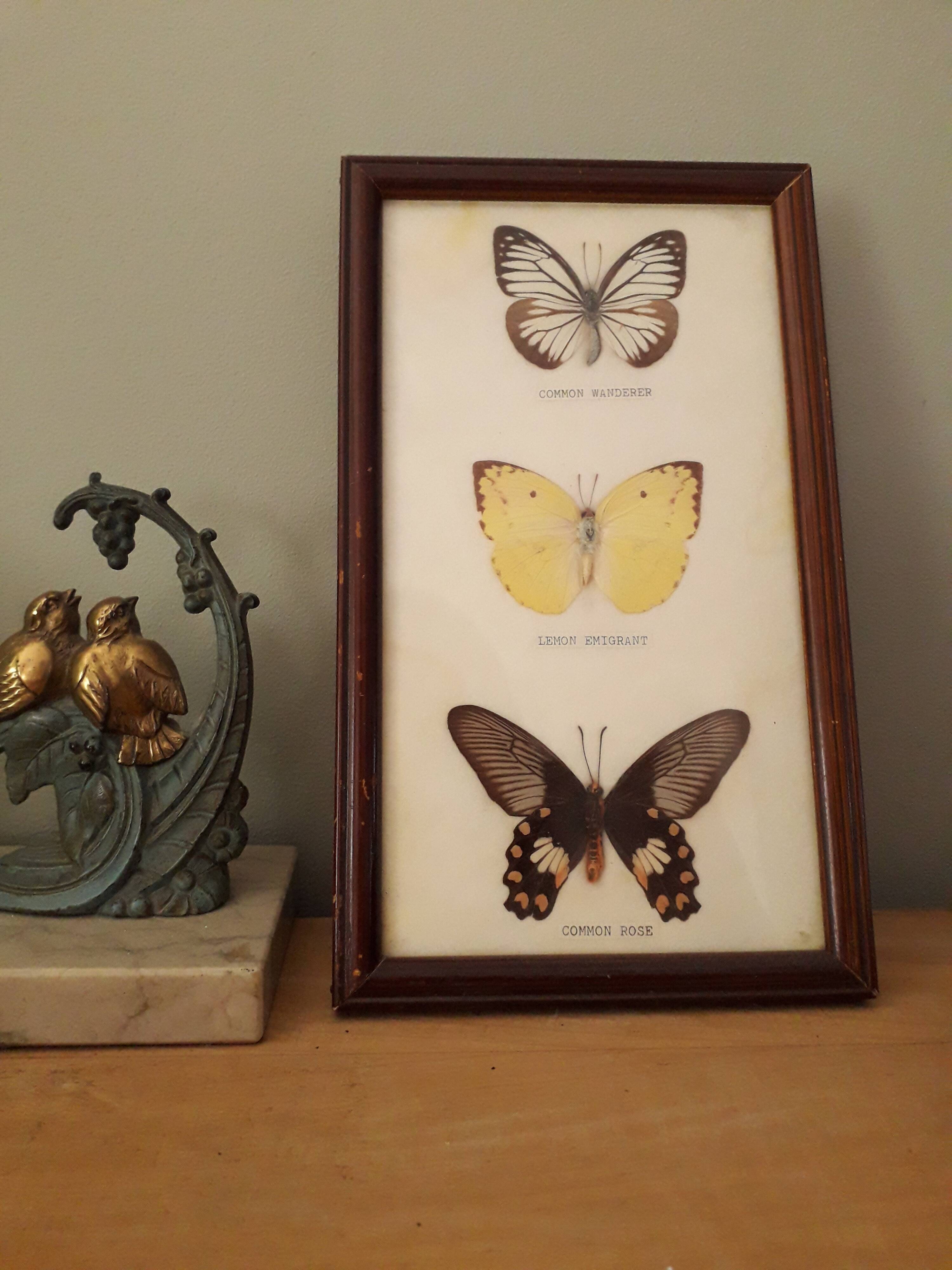 Butterfly frame