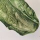 Vintage Italian slipware bowl – artichoke in bloom