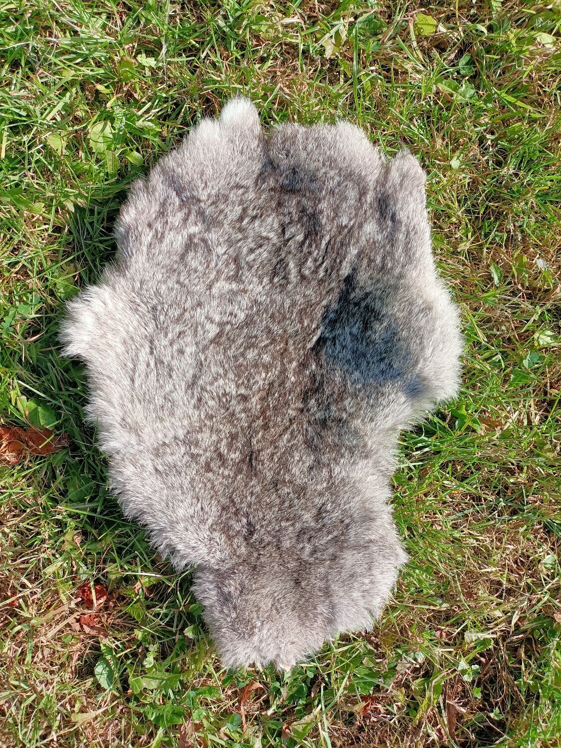 Rabbit skin