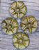 Gien oyster plates
