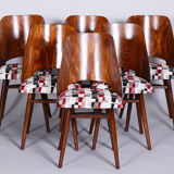 Ensemble de six chaises en hêtre du milieu du siècle, Oswald Heardtl, restauré, Tchéquie, années 1950