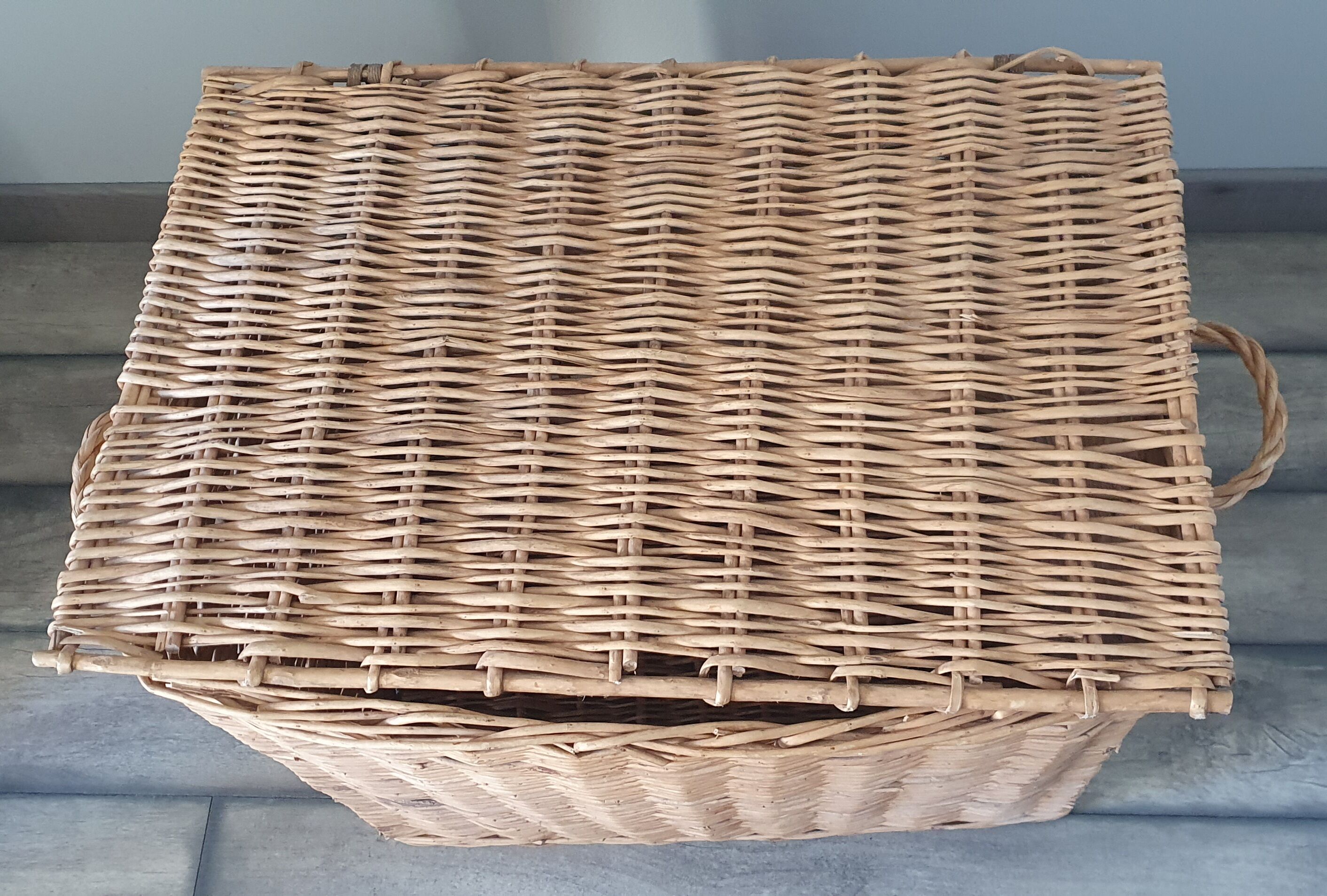 Wicker trunk