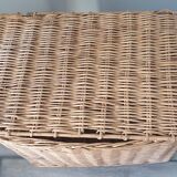 Wicker trunk
