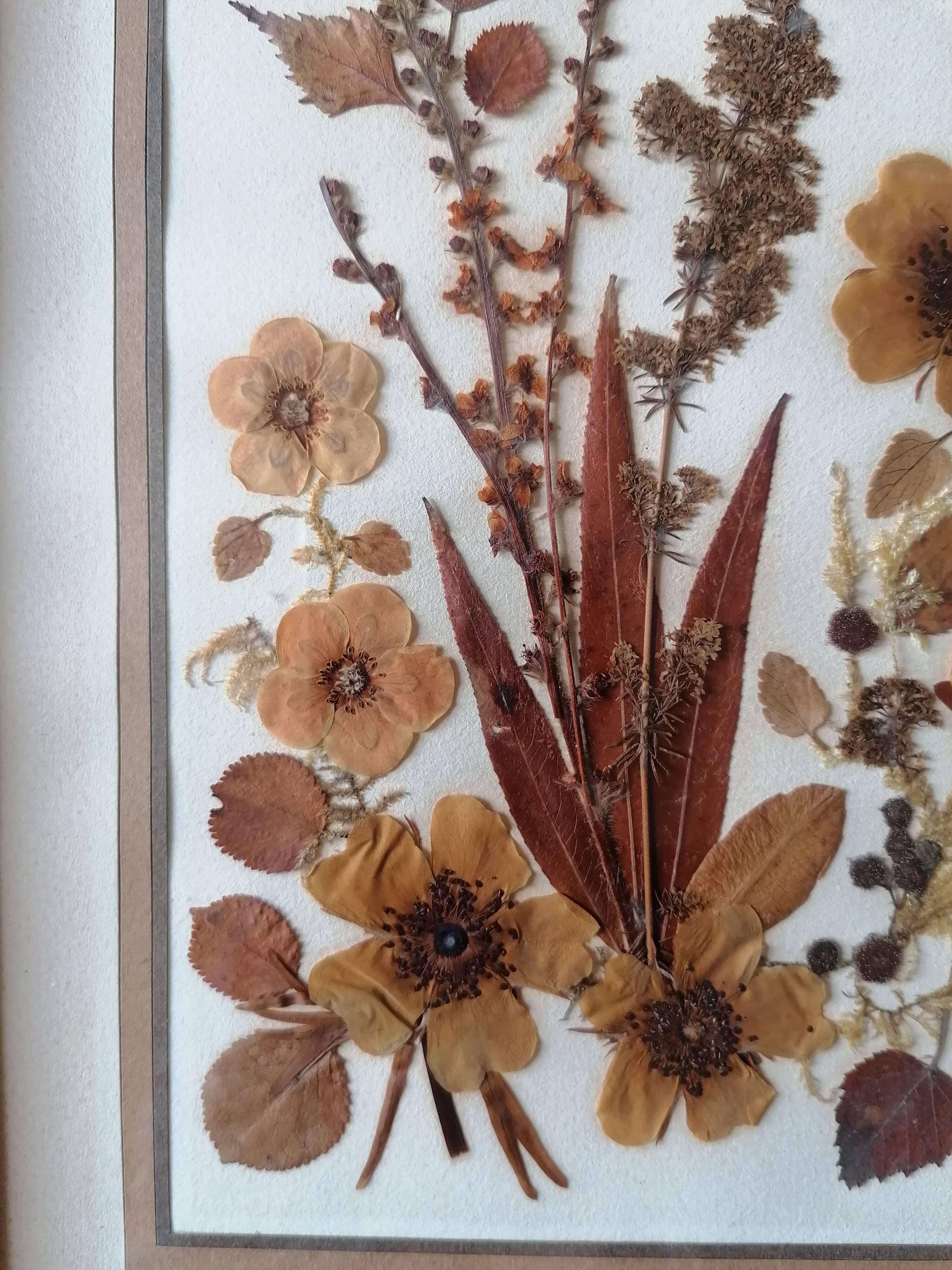 Ancient herbarium
