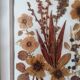 Ancient herbarium
