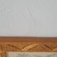 Botanical illustration Carolina parrot carved wooden frame