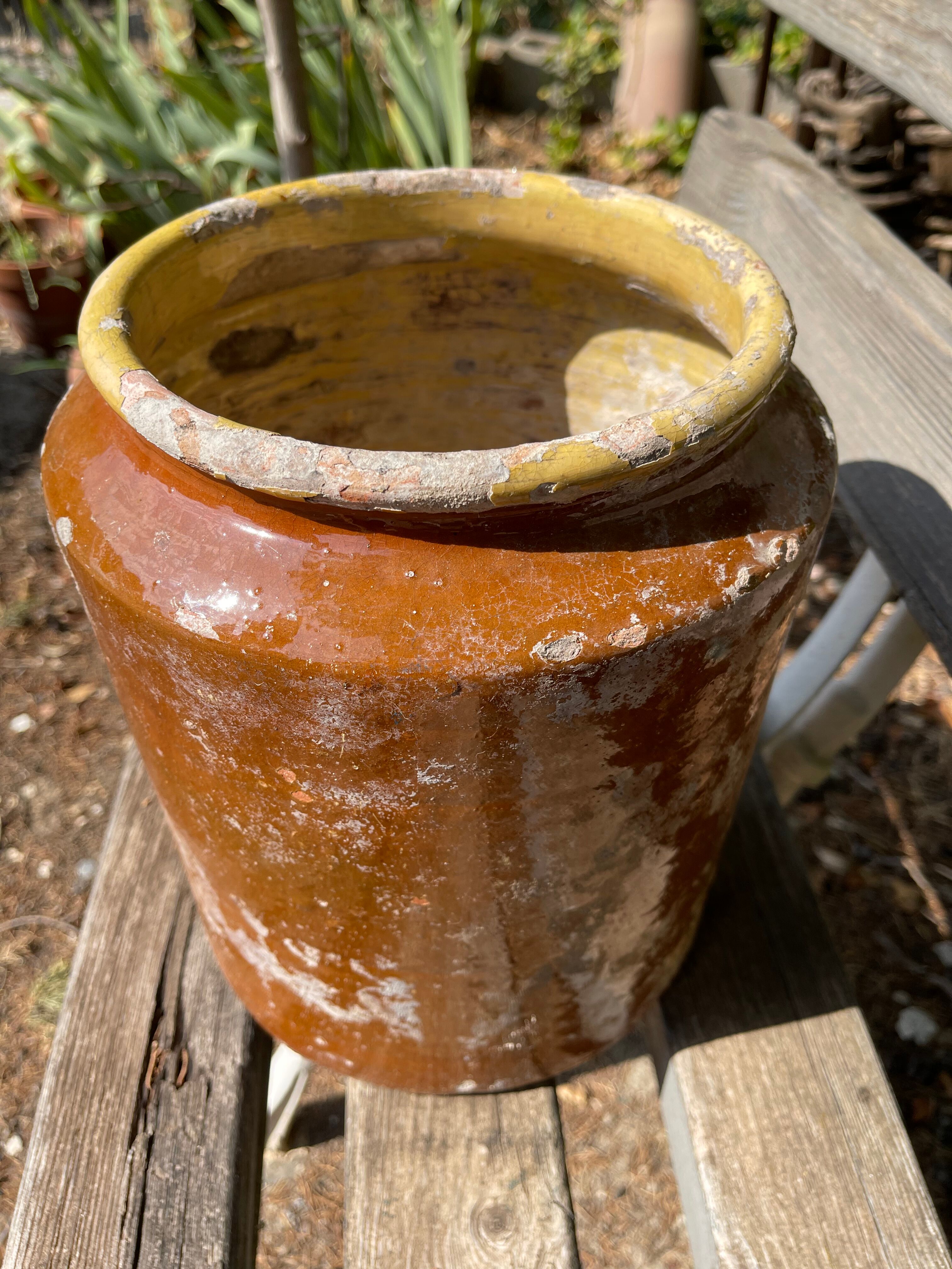 Terracotta pot