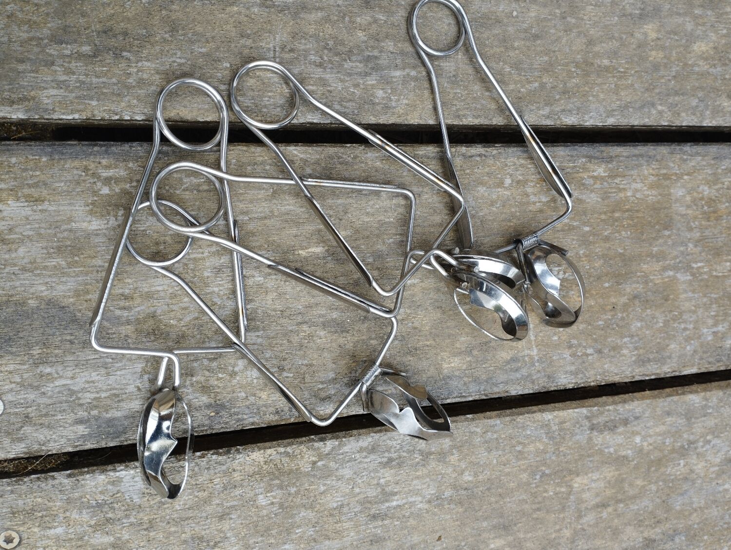 6 dishes/plates with snails, Gien factory