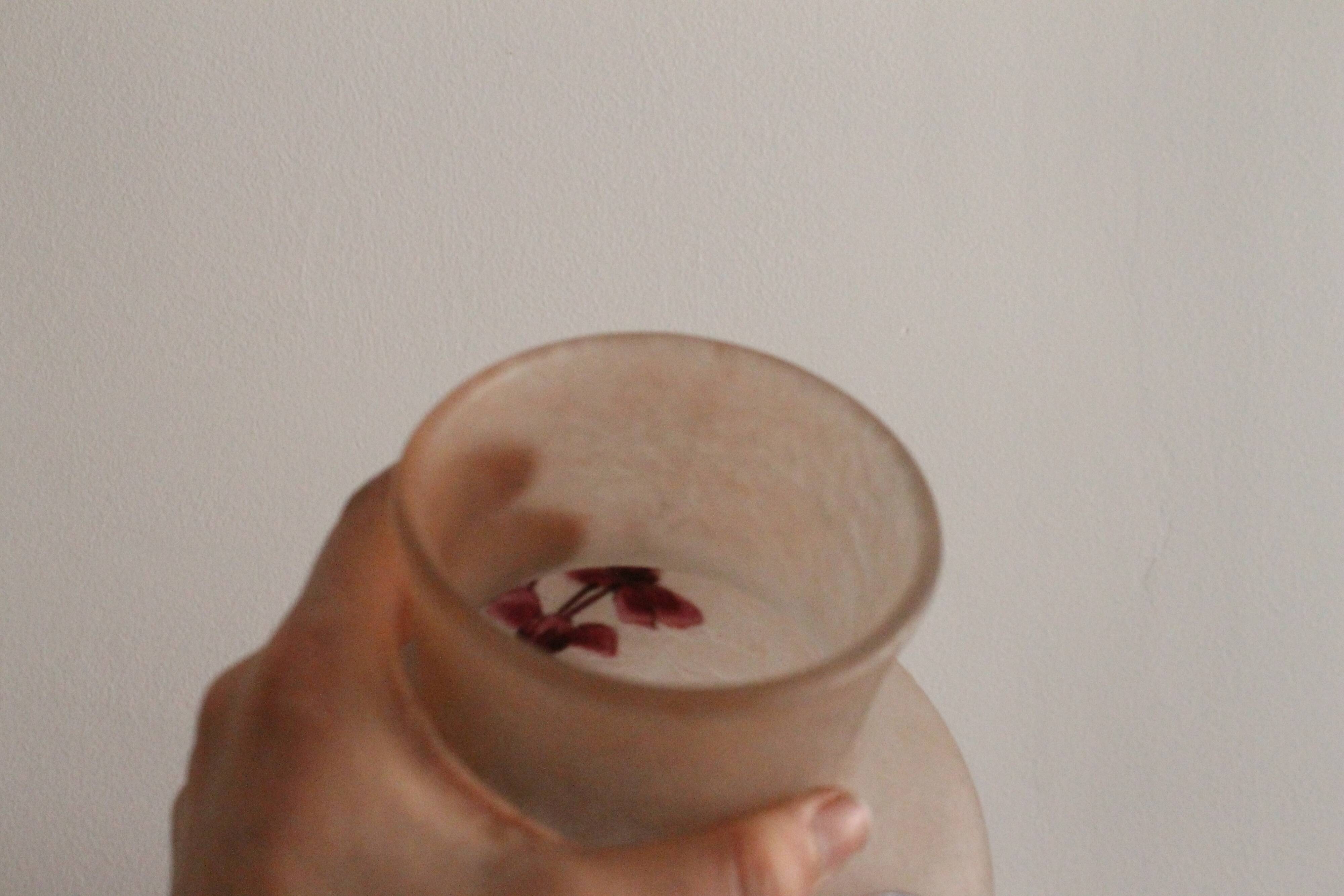 François Théodore Legras ovoid vase with flower decoration Rubis Art Nouveau