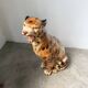 XL Italian ceramic leopard sculpture statue 1970