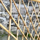 Woven rattan armchair, 1960