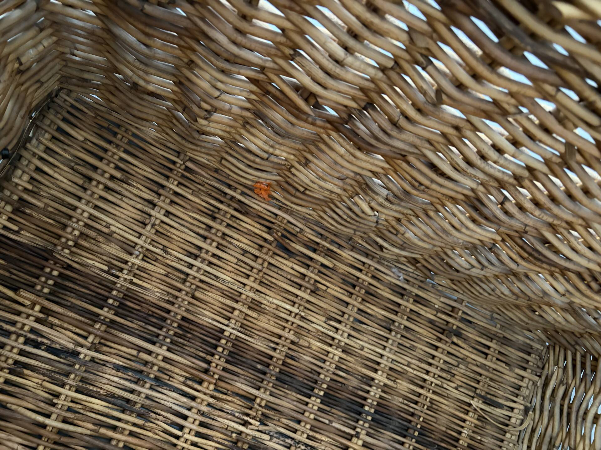 Large vintage wicker trunk