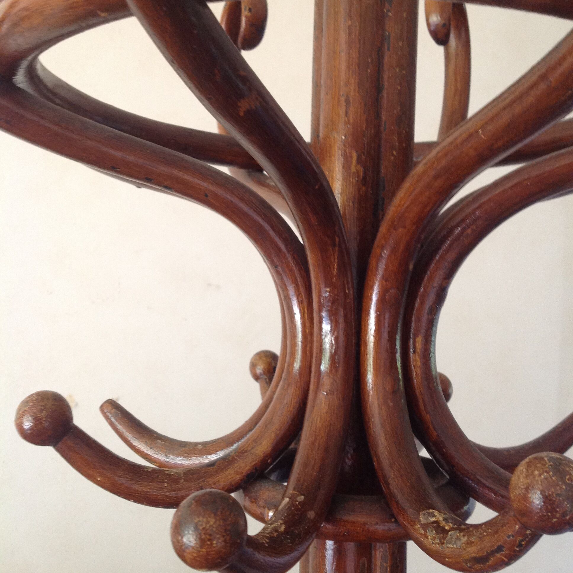 Porte-manteaux perroquet Thonet ancien