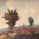 Paysage "Bruyère en fleurs". H.J. Pauwels