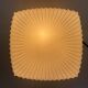 Mid-Century Milk Glass Ceiling Light, Czechoslovakia