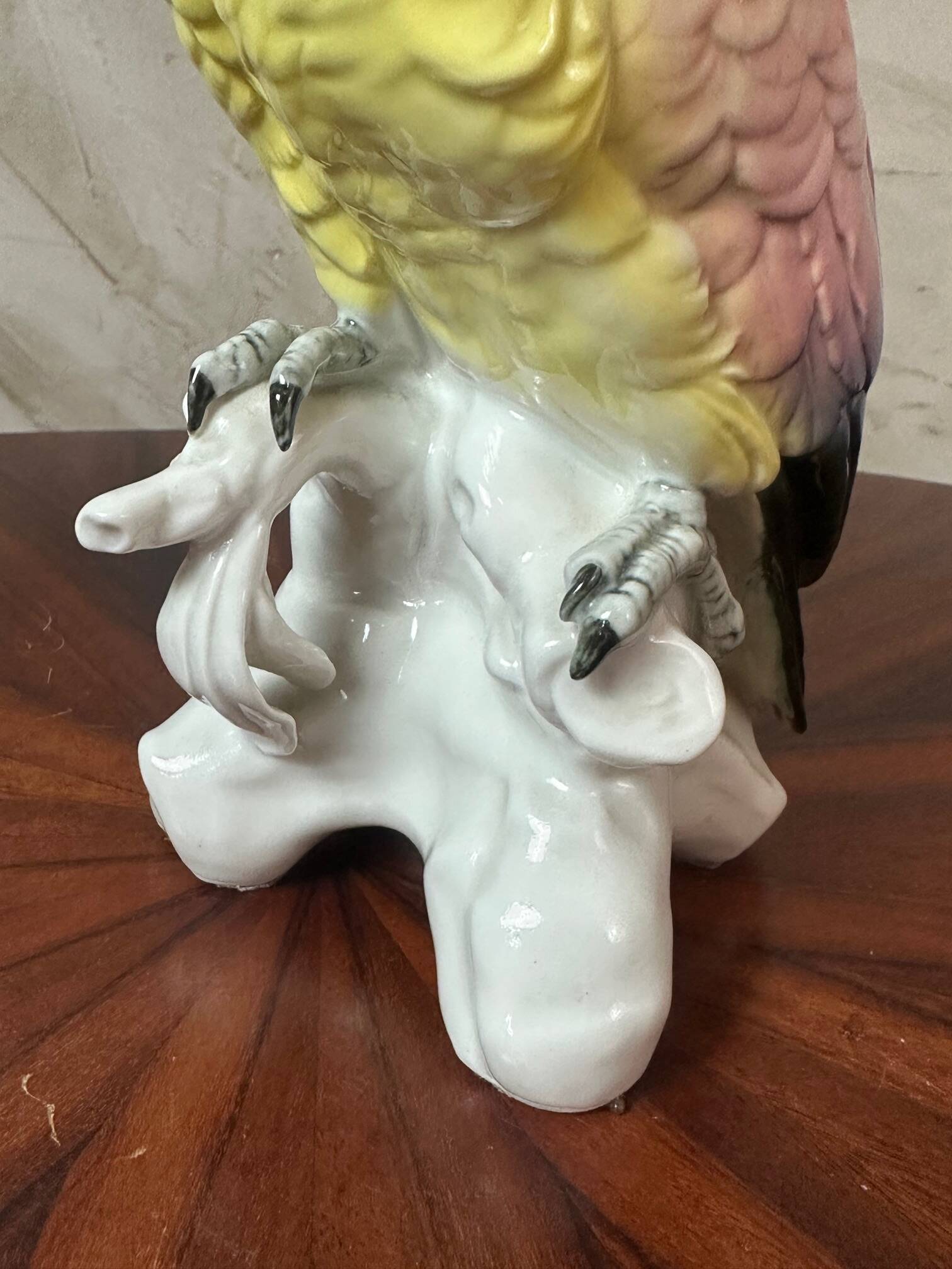Saxony porcelain parrot
