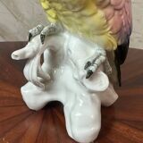 Saxony porcelain parrot