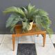 Small wood slatted sidetable flower table 1960s