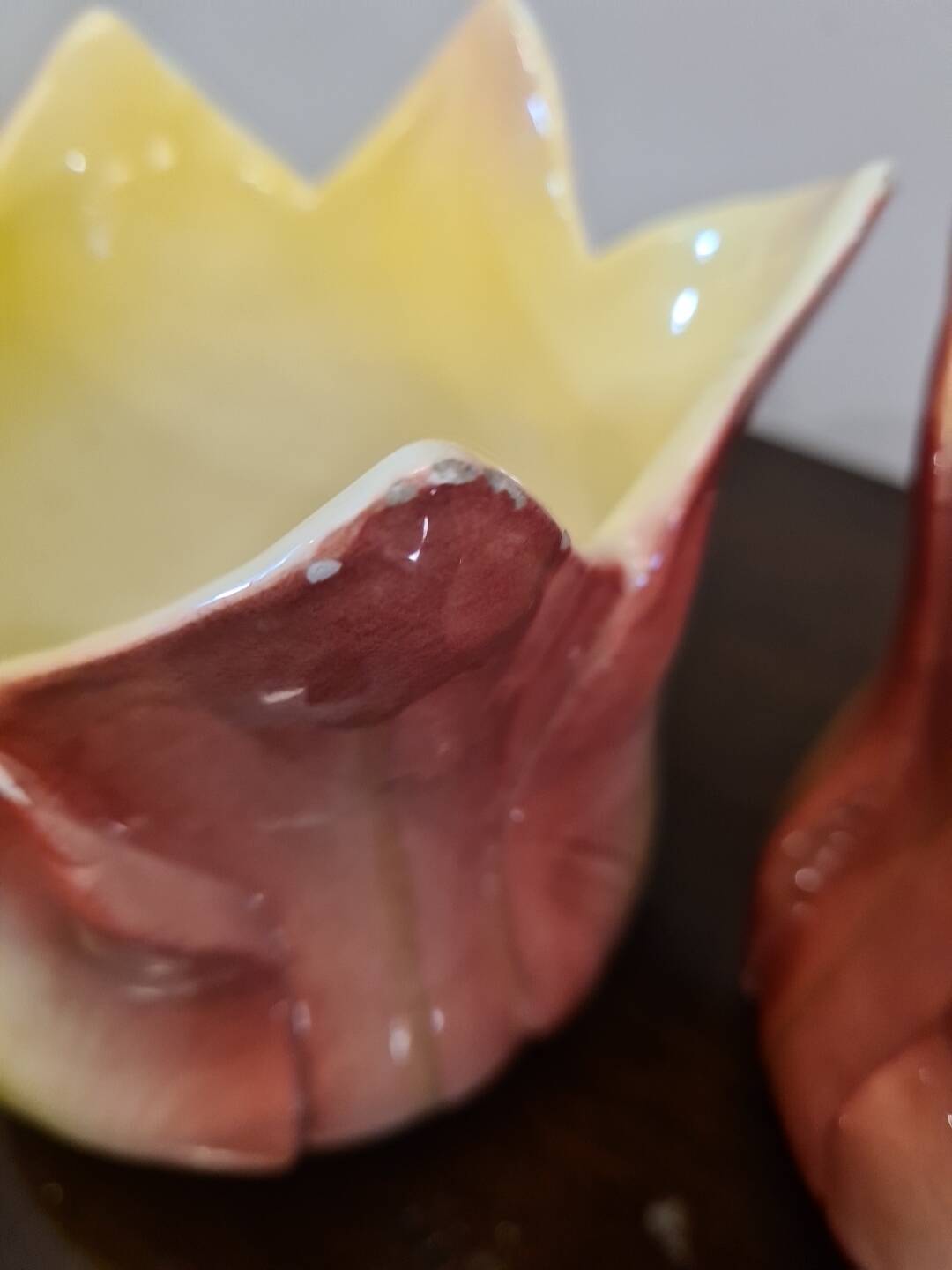 Pair of art nouveau plants signed delphin massier vallauris