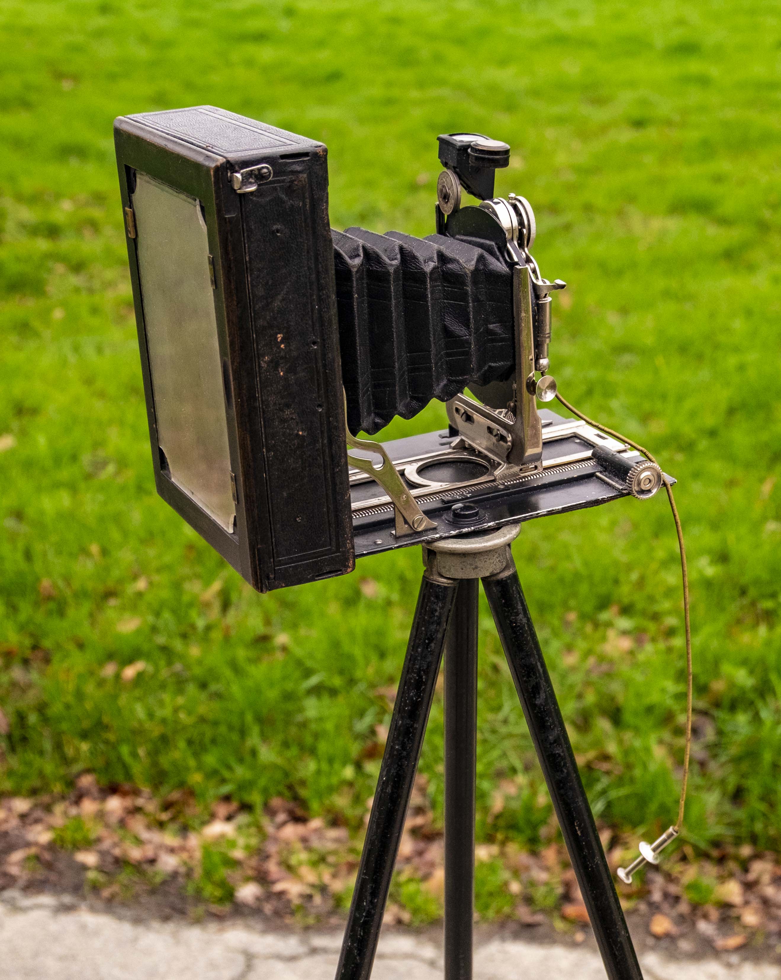 Vintage stand camera