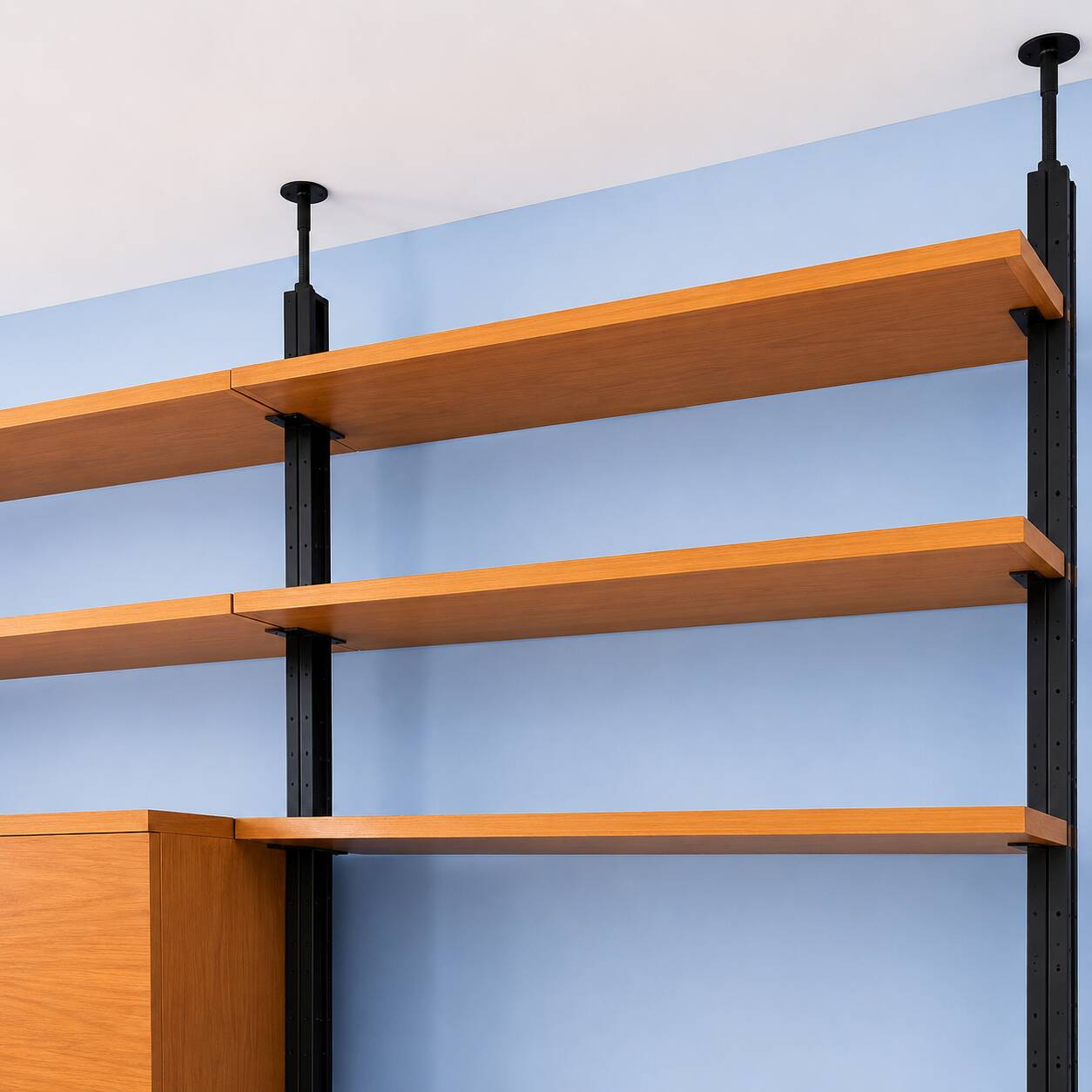 Wall Library or Floor/Ceiling in Blonde Beech