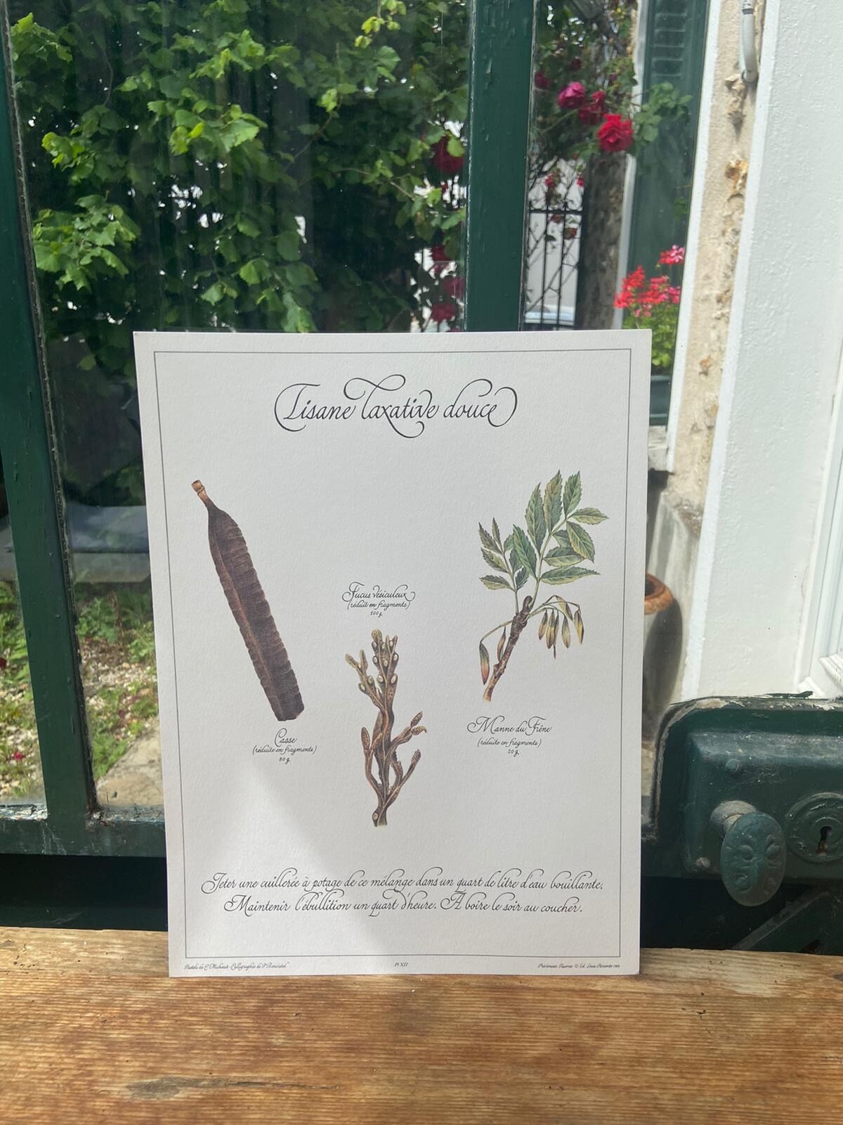 Botanical plank "Sweet laxative tisane"