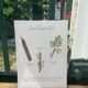 Planche botanique "Tisane laxative douce"