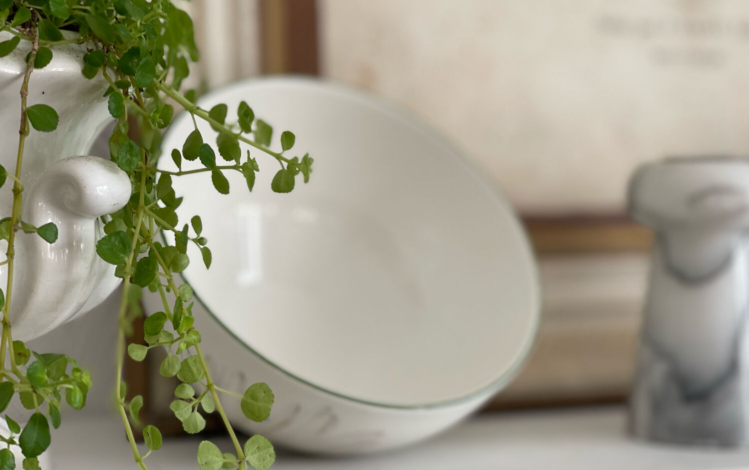 Bol Villeroy & Boch