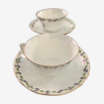 Duo of cup and saucer adderleys england bone china purple décor