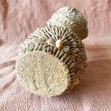 Shell vase