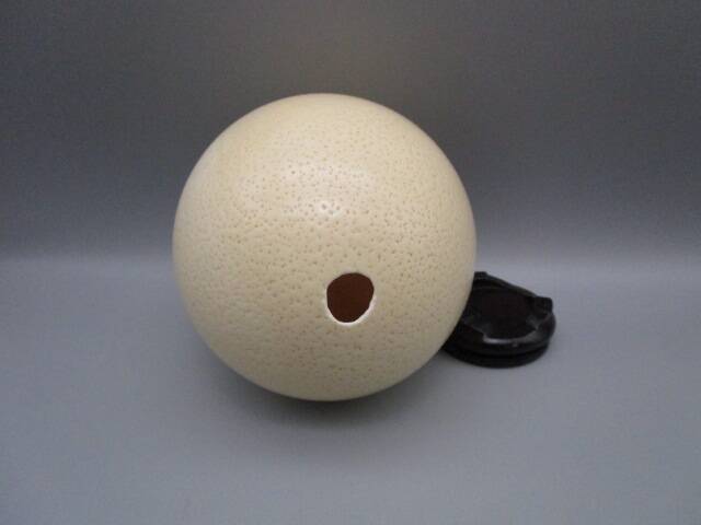 Ostrich egg on base