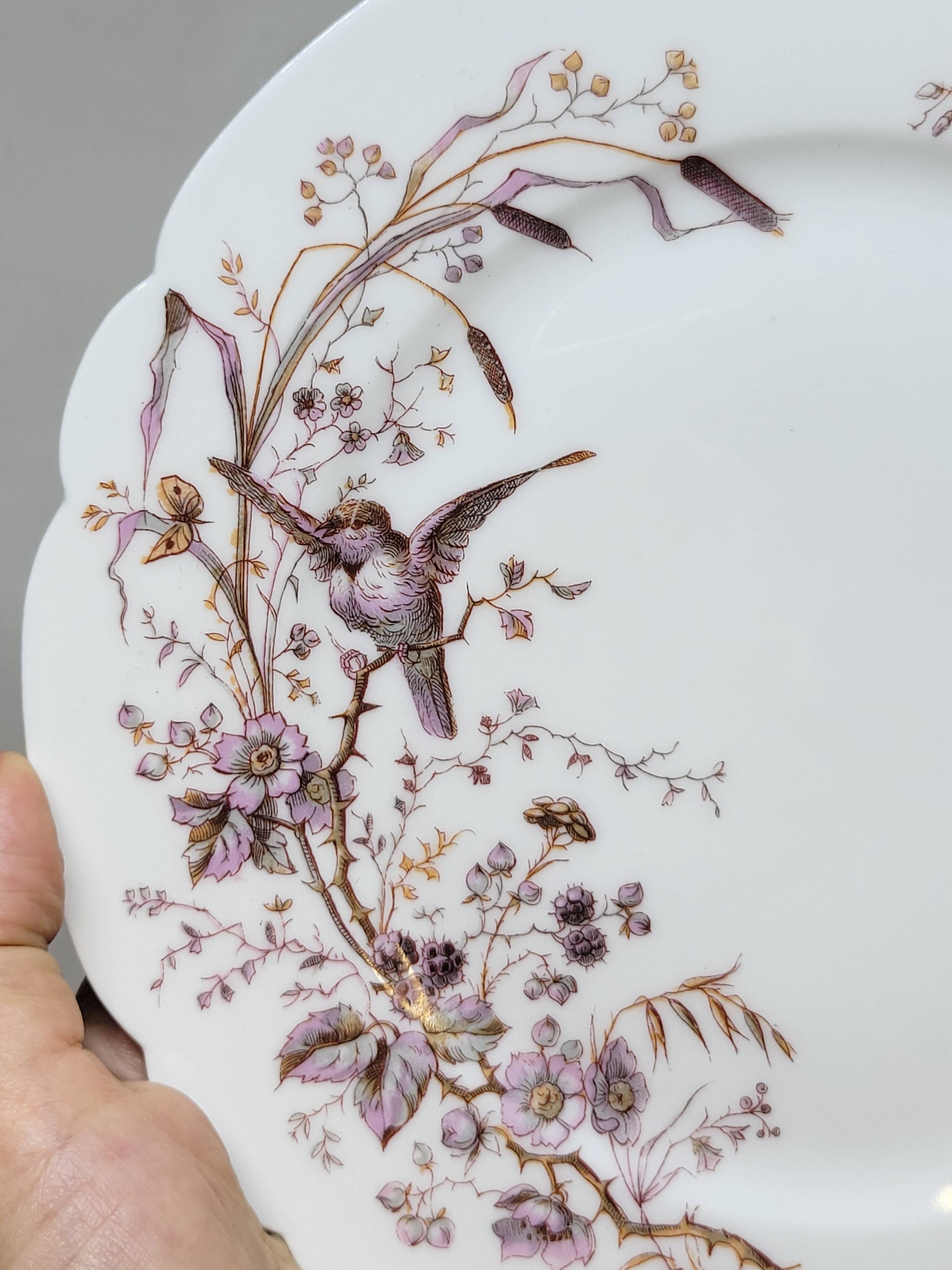 6 Superb Antique 19th Century White Porcelain Plates with Bird Decor