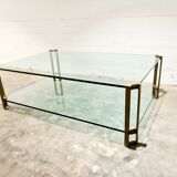 Vintage Brass and Glass Model T24 Coffee Table by Peter Ghyczy, 1970s