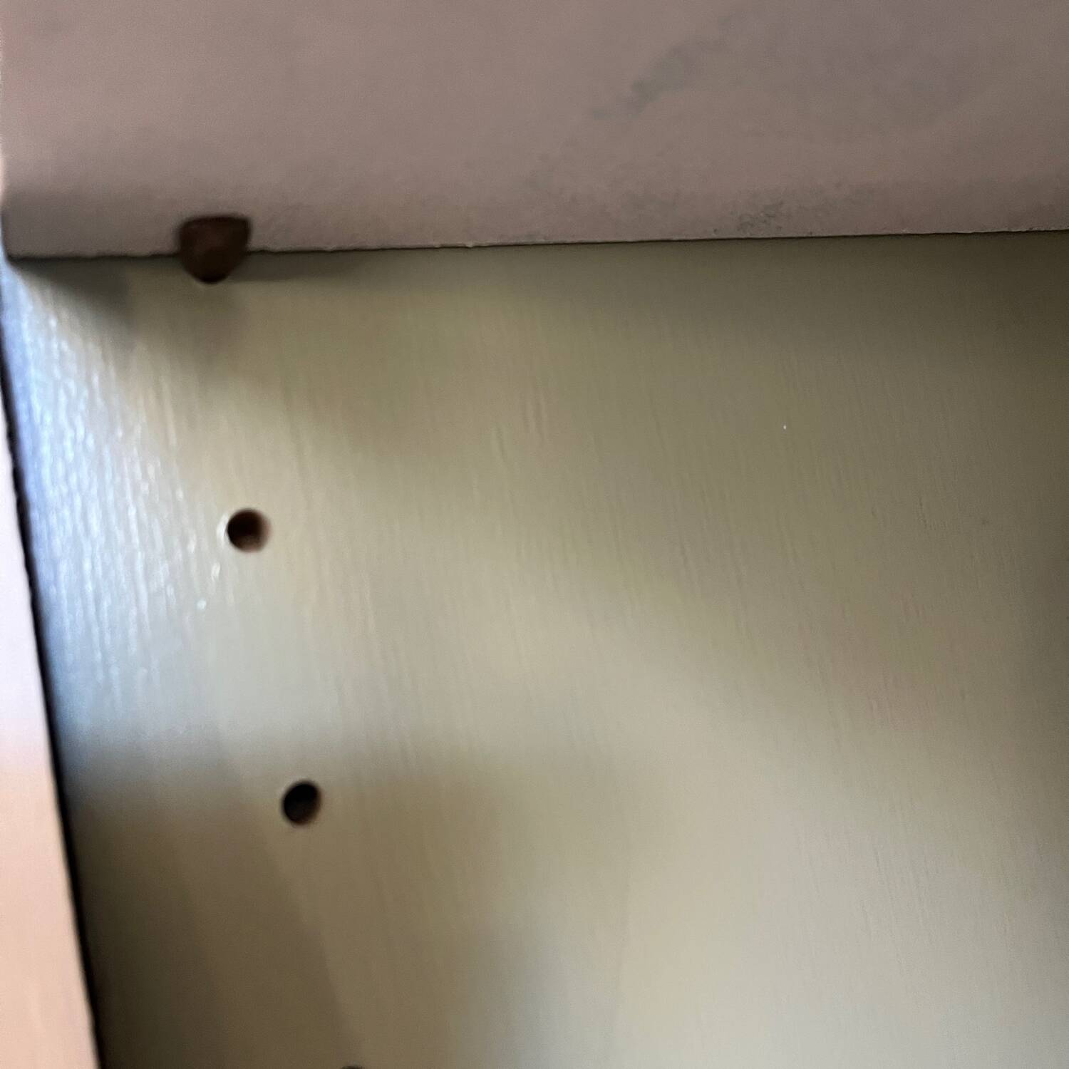 Large bibus bookcase