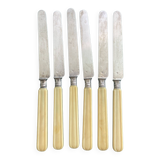 6 silver and ivory dessert knives