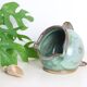 Salt pot, pottery