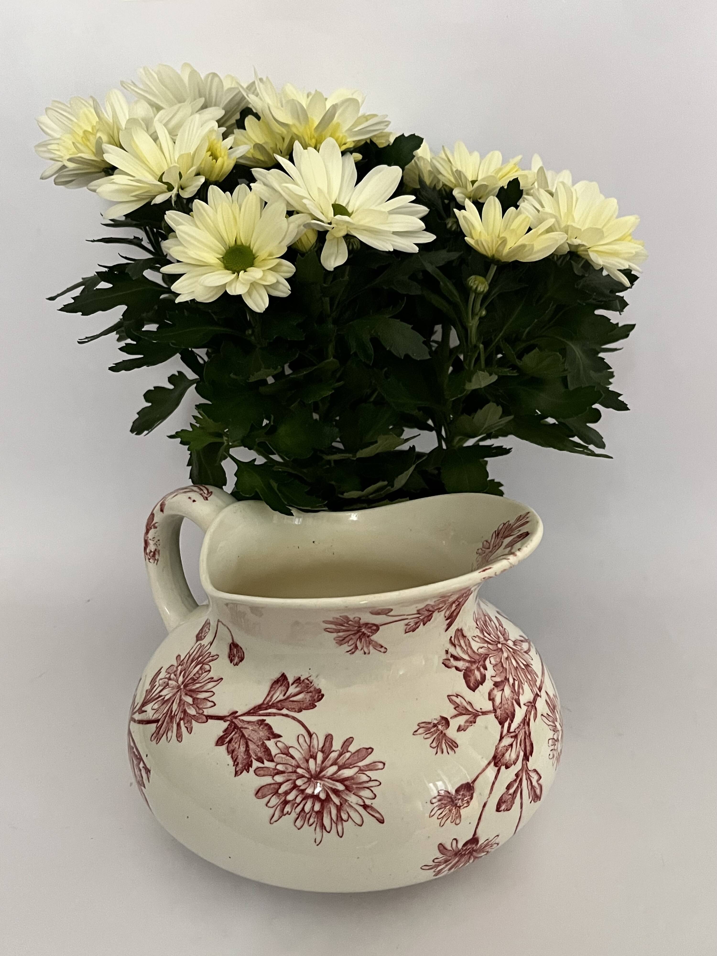 Pitcher, old chrysanthemum jug, Longwy