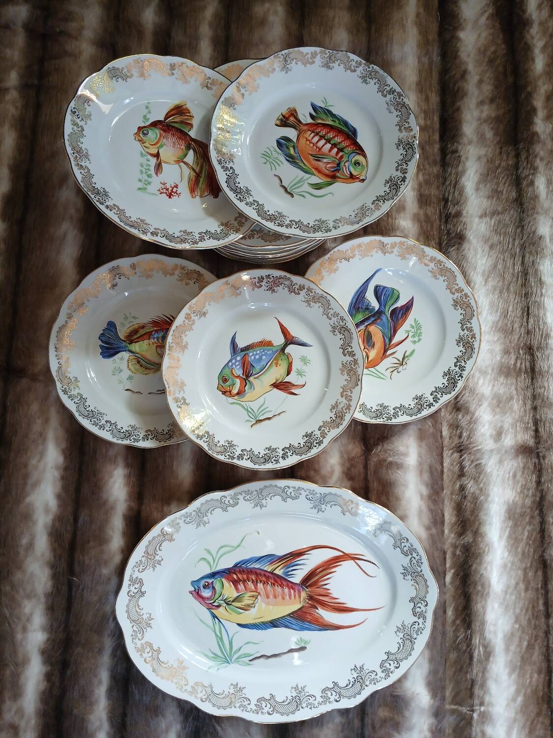 12 antique "Royal" dinner plates + 1 dish