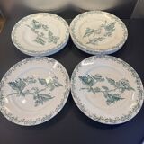 Set of 12 green ironstone flat plates
