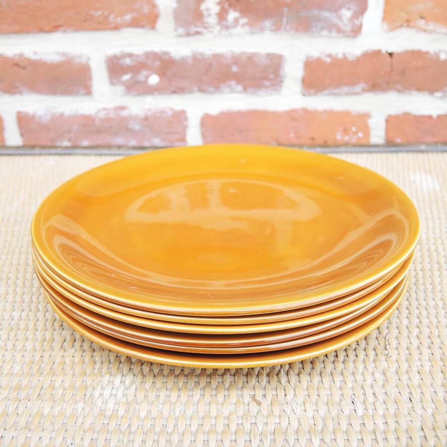 Antique earthenware dinner service from Salins (36 pcs)