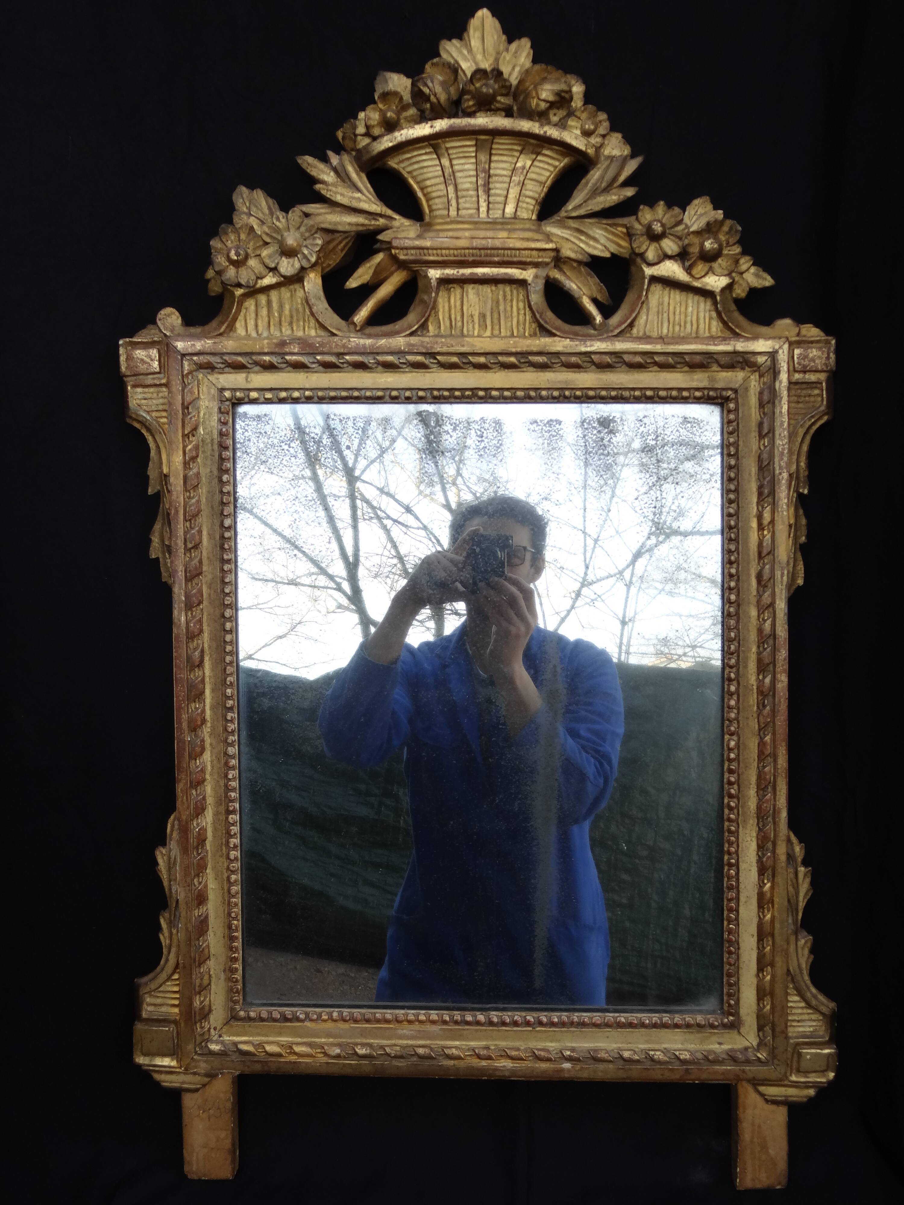 Louis XVI period mirror in gilded carved wood